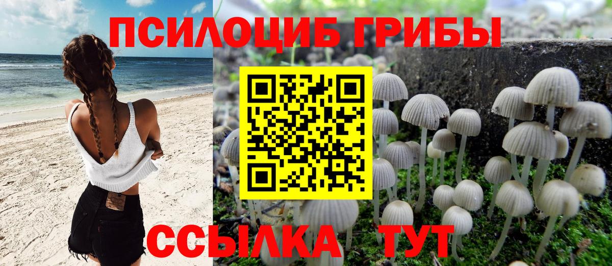 Галлюциногенные грибы Magic Shrooms Выкса