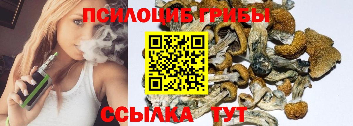 Псилоцибиновые грибы Magic Shrooms  Вход с VPN  Галлюциногенные грибы мицелий  Выкса 