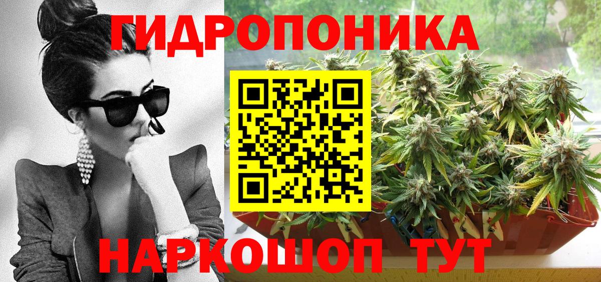Шишки марихуана White Widow  Вход с VPN  Каннабис Amnesia  Выкса 